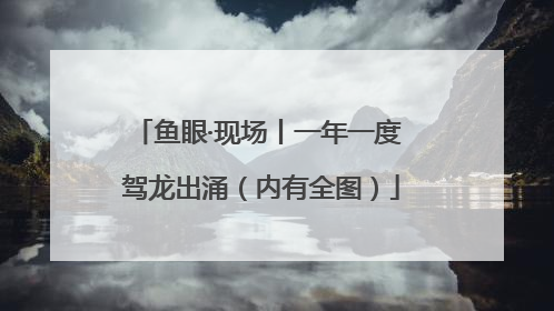 鱼眼·现场丨一年一度 驾龙出涌（内有全图）