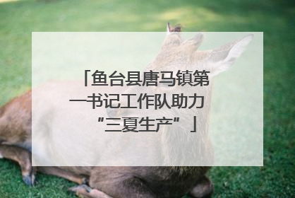 鱼台县唐马镇第一书记工作队助力“三夏生产”