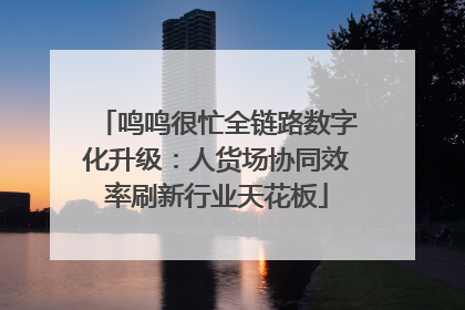 鸣鸣很忙全链路数字化升级：人货场协同效率刷新行业天花板