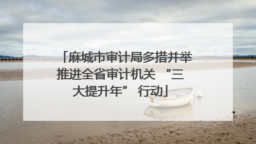 麻城市审计局多措并举推进全省审计机关 “三大提升年” 行动