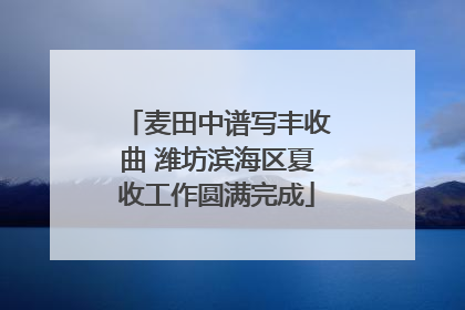 麦田中谱写丰收曲 潍坊滨海区夏收工作圆满完成