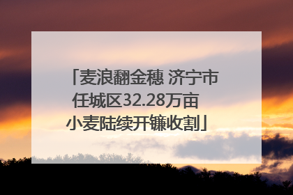 麦浪翻金穗 济宁市任城区32.28万亩小麦陆续开镰收割