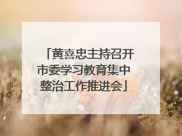 黄喜忠主持召开市委学习教育集中整治工作推进会