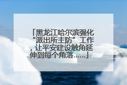 黑龙江哈尔滨强化“派出所主防”工作，让平安建设触角延伸到每个角落……