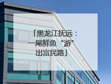 黑龙江抚远：一尾鲜鱼“游”出富民路