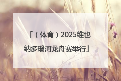 （体育）2025维也纳多瑙河龙舟赛举行