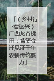 （乡村行·看振兴）广西龙脊梯田：背篓变迁见证千年农耕传统魅力