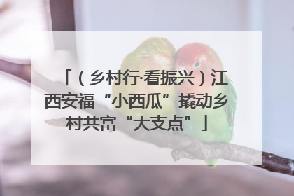 （乡村行·看振兴）江西安福“小西瓜”撬动乡村共富“大支点”