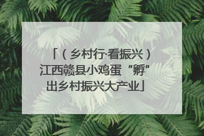 （乡村行·看振兴）江西赣县小鸡蛋“孵”出乡村振兴大产业