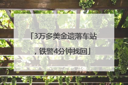 3万多美金遗落车站，铁警4分钟找回