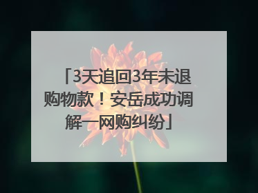 3天追回3年未退购物款！安岳成功调解一网购纠纷
