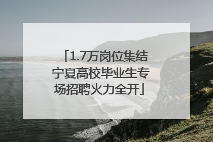 1.7万岗位集结 宁夏高校毕业生专场招聘火力全开