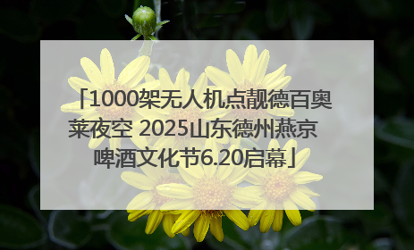 1000架无人机点靓德百奥莱夜空 2025山东德州燕京啤酒文化节6.20启幕
