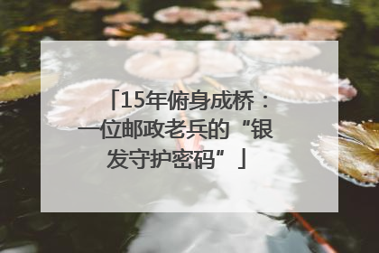 15年俯身成桥：一位邮政老兵的“银发守护密码”