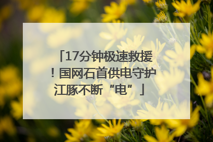 17分钟极速救援！国网石首供电守护江豚不断“电”