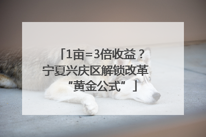 1亩=3倍收益？宁夏兴庆区解锁改革“黄金公式”