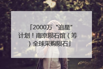 2000万“追星”计划！南京陨石馆（筹）全球采购陨石