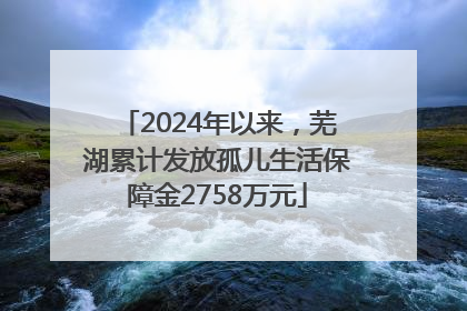 2024年以来，芜湖累计发放孤儿生活保障金2758万元