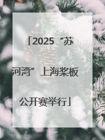 2025“苏河湾”上海桨板公开赛举行