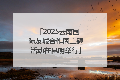 2025云南国际友城合作周主题活动在昆明举行