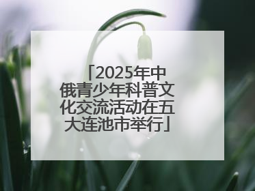 2025年中俄青少年科普文化交流活动在五大连池市举行