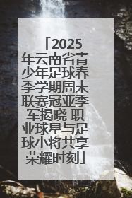 2025年云南省青少年足球春季学期周末联赛冠亚季军揭晓 职业球星与足球小将共享荣耀时刻