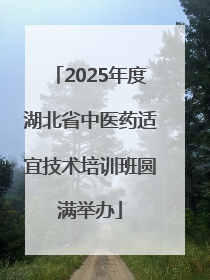 2025年度湖北省中医药适宜技术培训班圆满举办