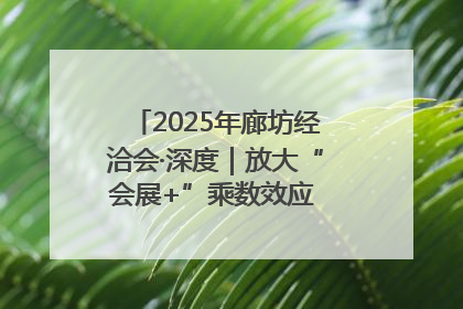 2025年廊坊经洽会·深度｜放大“会展+”乘数效应 打造消费新场景