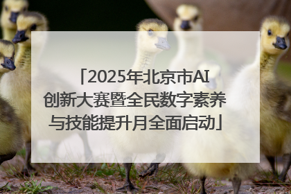 2025年北京市AI创新大赛暨全民数字素养与技能提升月全面启动