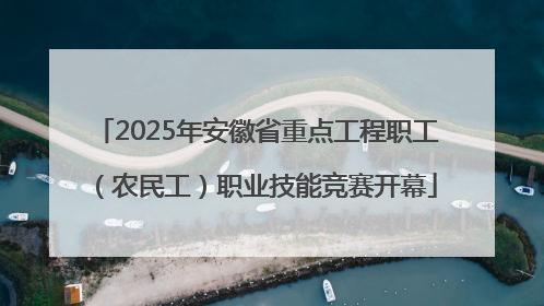 2025年安徽省重点工程职工（农民工）职业技能竞赛开幕