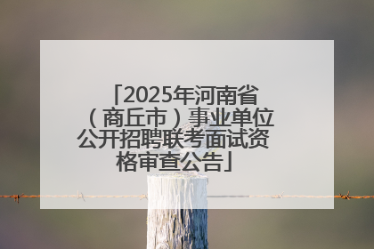 2025年河南省（商丘市）事业单位公开招聘联考面试资格审查公告