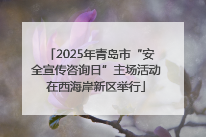 2025年青岛市“安全宣传咨询日”主场活动在西海岸新区举行