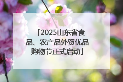 2025山东省食品、农产品外贸优品购物节正式启动