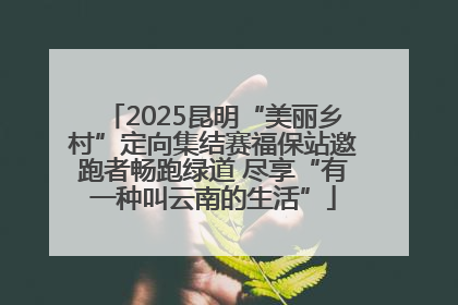 2025昆明“美丽乡村”定向集结赛福保站邀跑者畅跑绿道 尽享“有一种叫云南的生活”