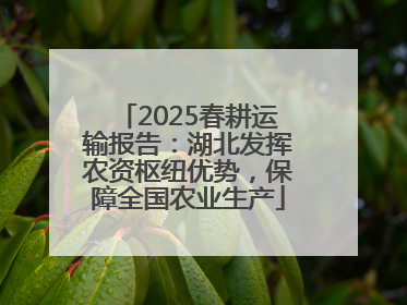 2025春耕运输报告：湖北发挥农资枢纽优势，保障全国农业生产