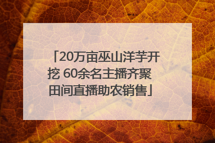 20万亩巫山洋芋开挖 60余名主播齐聚田间直播助农销售