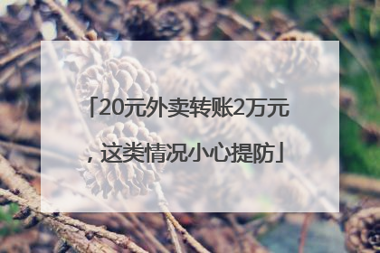 20元外卖转账2万元，这类情况小心提防