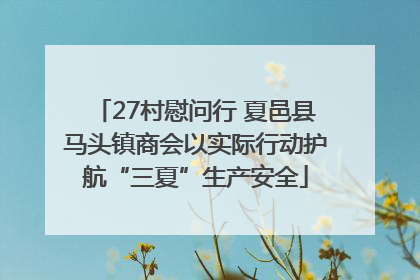 27村慰问行 夏邑县马头镇商会以实际行动护航“三夏”生产安全