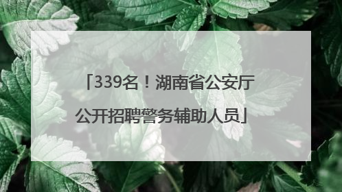 339名！湖南省公安厅公开招聘警务辅助人员