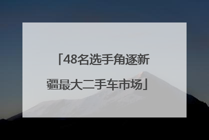 48名选手角逐新疆最大二手车市场
