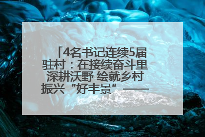 4名书记连续5届驻村：在接续奋斗里深耕沃野 绘就乡村振兴“好丰景”——浦发银行南京分行助力脱贫攻坚、帮促乡村振兴记事（二）