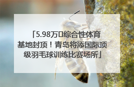 5.98万㎡综合性体育基地封顶！青岛将添国际顶级羽毛球训练比赛场所