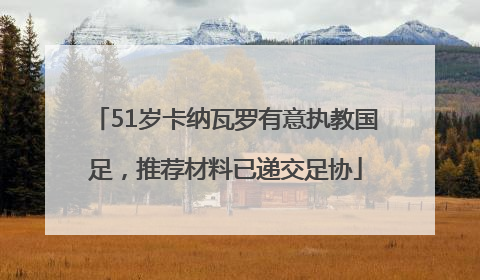 51岁卡纳瓦罗有意执教国足，推荐材料已递交足协