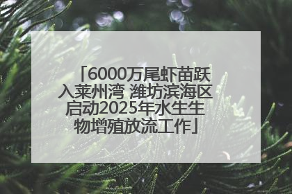 6000万尾虾苗跃入莱州湾 潍坊滨海区启动2025年水生生物增殖放流工作