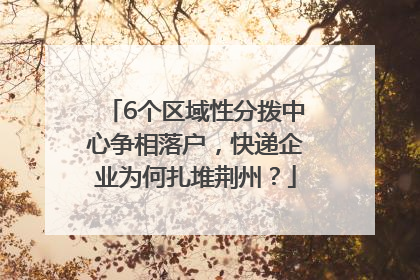 6个区域性分拨中心争相落户，快递企业为何扎堆荆州？