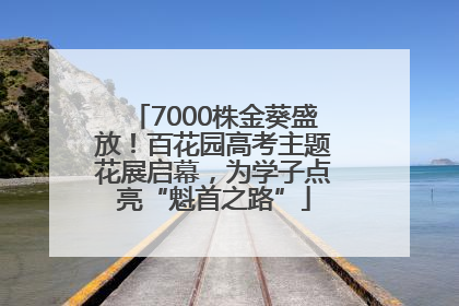 7000株金葵盛放！百花园高考主题花展启幕，为学子点亮“魁首之路”