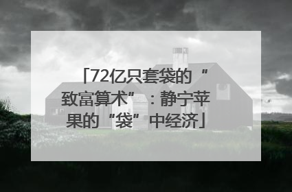72亿只套袋的“致富算术”：静宁苹果的“袋”中经济