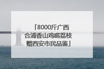 8000斤广西合浦香山鸡嘴荔枝赠西安市民品鉴
