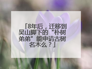 8年后，迁移到吴山脚下的“朴树弟弟”能申请古树名木么？