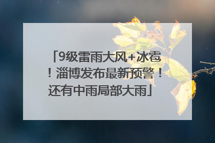 9级雷雨大风+冰雹！淄博发布最新预警！还有中雨局部大雨